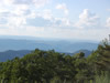 View attop Shenandoah Mountain